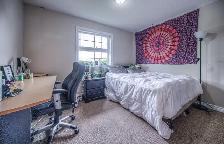 ONE ROOM IN ALL FEMALE UNIT CLOSE TO LAURIER