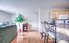 ONE ROOM IN ALL FEMALE UNIT CLOSE TO LAURIER - Photo 3