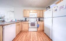 ONE ROOM IN ALL FEMALE UNIT CLOSE TO LAURIER - Photo 6