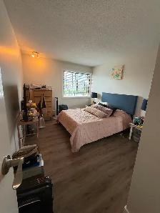 BEAUTIFUL 2 BEDROOM 1 BATH - HEAT & LAUNDRY INCLUDED - Photo 8