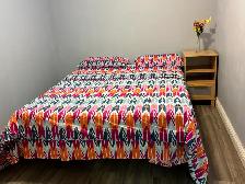 FULLY FURNISHED 1-BEDROOM   DEN BASEMENT APARTMENT FOR RENT