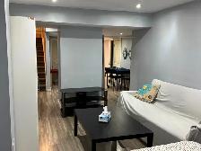 FULLY FURNISHED 1-BEDROOM   DEN BASEMENT APARTMENT FOR RENT - Photo 6
