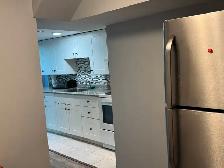 FULLY FURNISHED 1-BEDROOM   DEN BASEMENT APARTMENT FOR RENT - Photo 13
