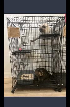 Gently Used Cat Cages – $60 Each or $100 for Two - Photo 2