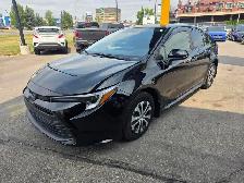 2023 Toyota Corolla Hybrid LE AWD- 1 OWNER- NO ACCIDENTS-LOW KM - Photo 4