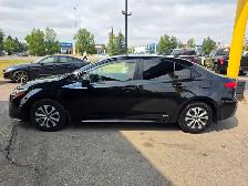 2023 Toyota Corolla Hybrid LE AWD- 1 OWNER- NO ACCIDENTS-LOW KM - Photo 5