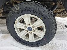 2019 Ford F-150 XLT (Special- Price Reduced) - Photo 16