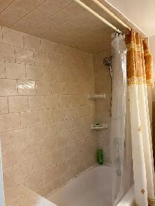 1 Bedroom, 1 washroom Basement Furnished Apartment: - Photo 6
