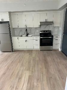 Brand New One Bedroom Available October Minnow Lake