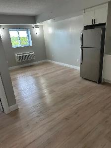 Brand New One Bedroom Available October Minnow Lake - Photo 4