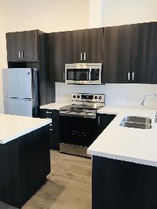 Modern 2-Bedroom Luxury Loft (Brantford) - Photo 4