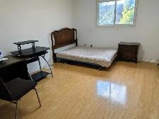 A bedroom for rent @Warden/Finch