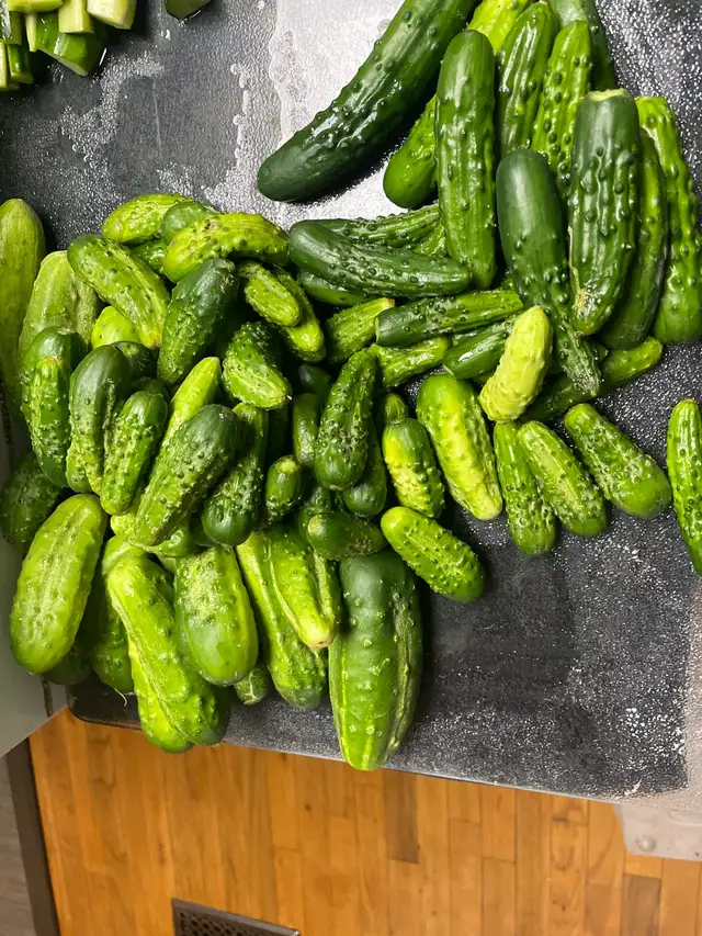 CUCUMBERS ‘Tis the season don’t miss out!