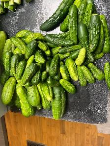 CUCUMBERS ‘Tis the season don’t miss out!