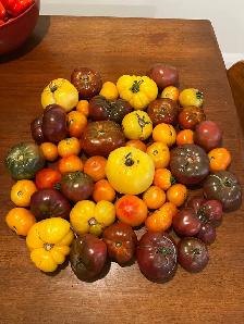 12 LBS of Heirloom Tomatoes for Quick Sale - take the whole box!