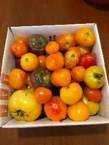 12 LBS of Heirloom Tomatoes for Quick Sale - take the whole box! - Photo 2