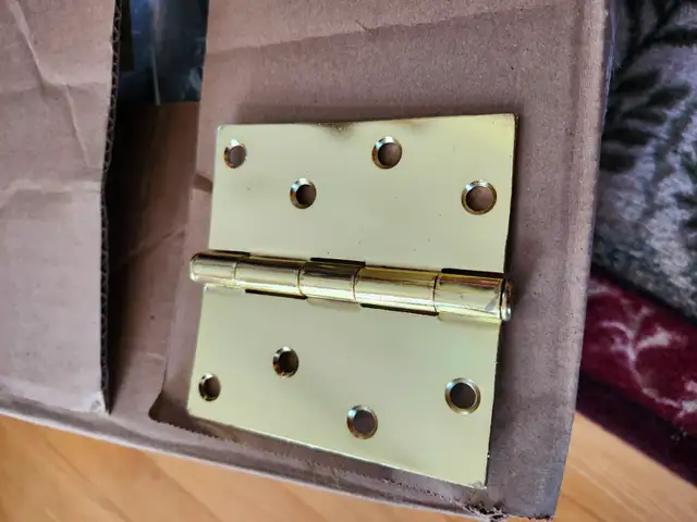 Polished Bright Brass Door Hinges