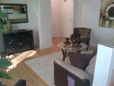 CLINTON APARTMENTS 185 VAUGHAN STREET LR 1BR - Photo 2