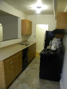 CLINTON APARTMENTS 185 VAUGHAN STREET LR 1BR - Photo 7