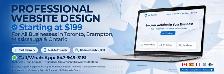 Professional Website Design $199 - Toronto