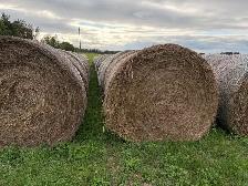 Rained on hay - Photo 2
