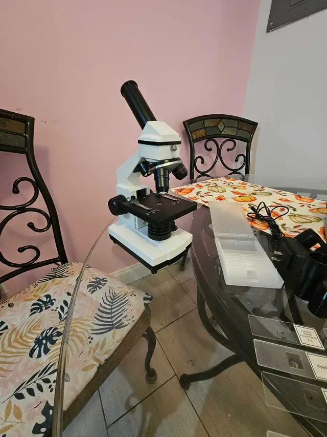microscope adult/étudiant NEUF