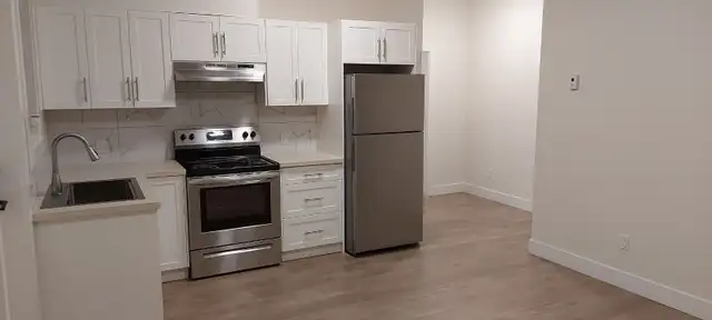 2 Bedrooms/ 1 Bath-Basement Suite (146 St/55 Ave) Surrey