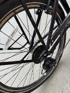 Townie by Electra Female Bicycle - Photo 6