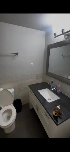 Lease take-over - Photo 5