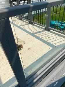 FOR SALE: Tempered Glass Panels
