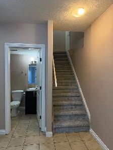 3 rooms walkout basement - Photo 3