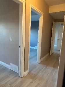 3 rooms walkout basement - Photo 7