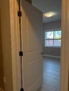 3 rooms walkout basement - Photo 8