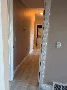 3 rooms walkout basement - Photo 10