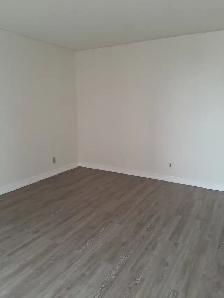 Freshly Updated 1-Bedroom, All Utilities Included - Photo 3