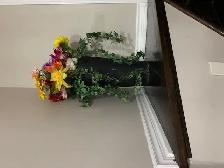 ROOM IN BASEMENT FOR RENT $1000 PLEASE CALL 365-996-6255 - Photo 10