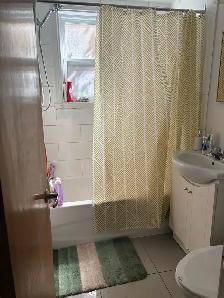 Charmant 5 1/2 à Ahuntsic à louer - Beautiful 5 1/2 for rent - Photo 8