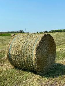 Quality Hay For Sale