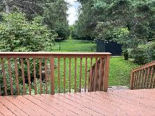 2 BEDROOM   DEN / 2 BATHROOM HOME FOR RENT – SPRING LAKE AREA - Photo 8