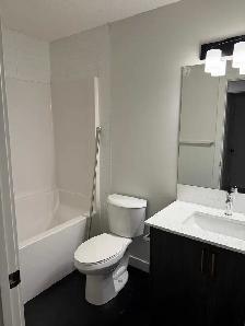 Chestermere 4 Bed 3 House ~1700 sq. ft - Photo 4