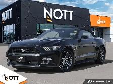 2017 FORD MUSTANG GT - | 6Speed Manual | Local MB Vehicle | 2 Ow
