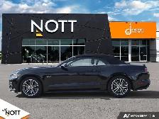 2017 FORD MUSTANG GT - | 6Speed Manual | Local MB Vehicle | 2 Ow - Photo 3