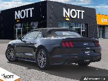 2017 FORD MUSTANG GT - | 6Speed Manual | Local MB Vehicle | 2 Ow - Photo 4