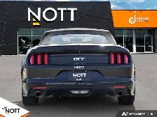 2017 FORD MUSTANG GT - | 6Speed Manual | Local MB Vehicle | 2 Ow - Photo 5