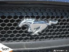 2017 FORD MUSTANG GT - | 6Speed Manual | Local MB Vehicle | 2 Ow - Photo 9
