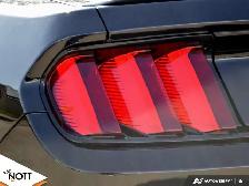 2017 FORD MUSTANG GT - | 6Speed Manual | Local MB Vehicle | 2 Ow - Photo 12