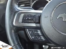 2017 FORD MUSTANG GT - | 6Speed Manual | Local MB Vehicle | 2 Ow - Photo 18