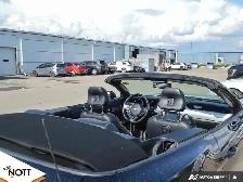 2017 FORD MUSTANG GT - | 6Speed Manual | Local MB Vehicle | 2 Ow - Photo 27