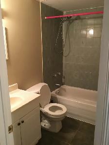 2 Bedroom Basement for Rent - Photo 5