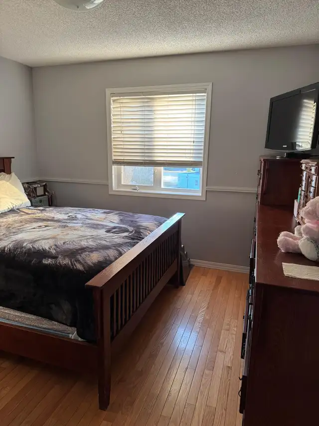 Offering Cleaning service